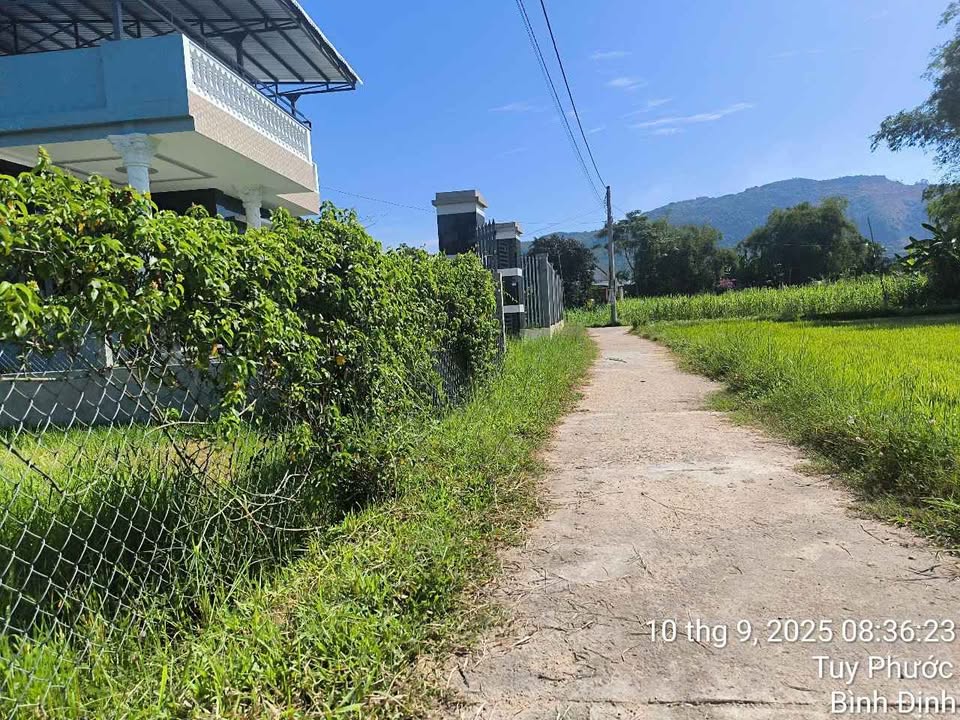 Đất thổ cư Phước Thành, Tuy Phước 150m² giá 500 triệu - Cơ hội đầu tư sinh lời!