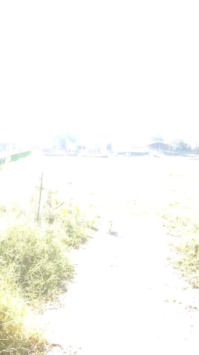 Đất thổ cư Kim Long, Tam Dương, Vĩnh Phúc 625m² - Giá chỉ từ 3 triệu/m²!