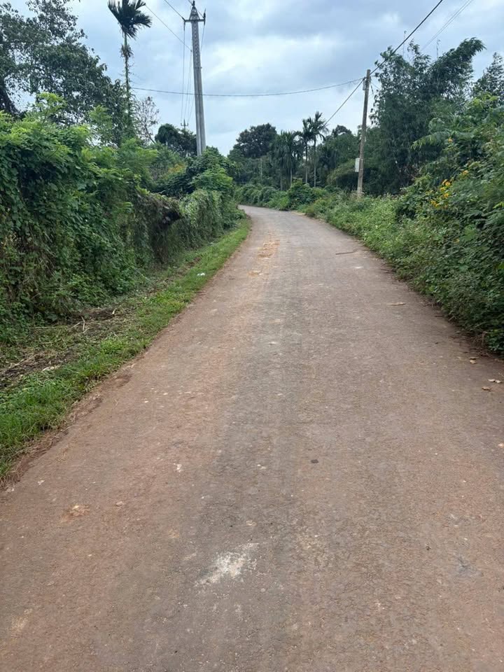 Đất nền Tân Lập, Buôn Ma Thuột 560m² giá 2.05 tỷ - Pháp lý rõ ràng, sổ đỏ chính chủ!