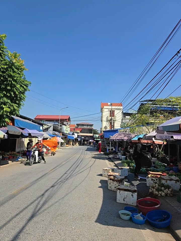 Đất nền phường Thiên Hương, Hải Phòng 73m² giá 1.3 tỷ - Tiềm năng đầu tư lớn!