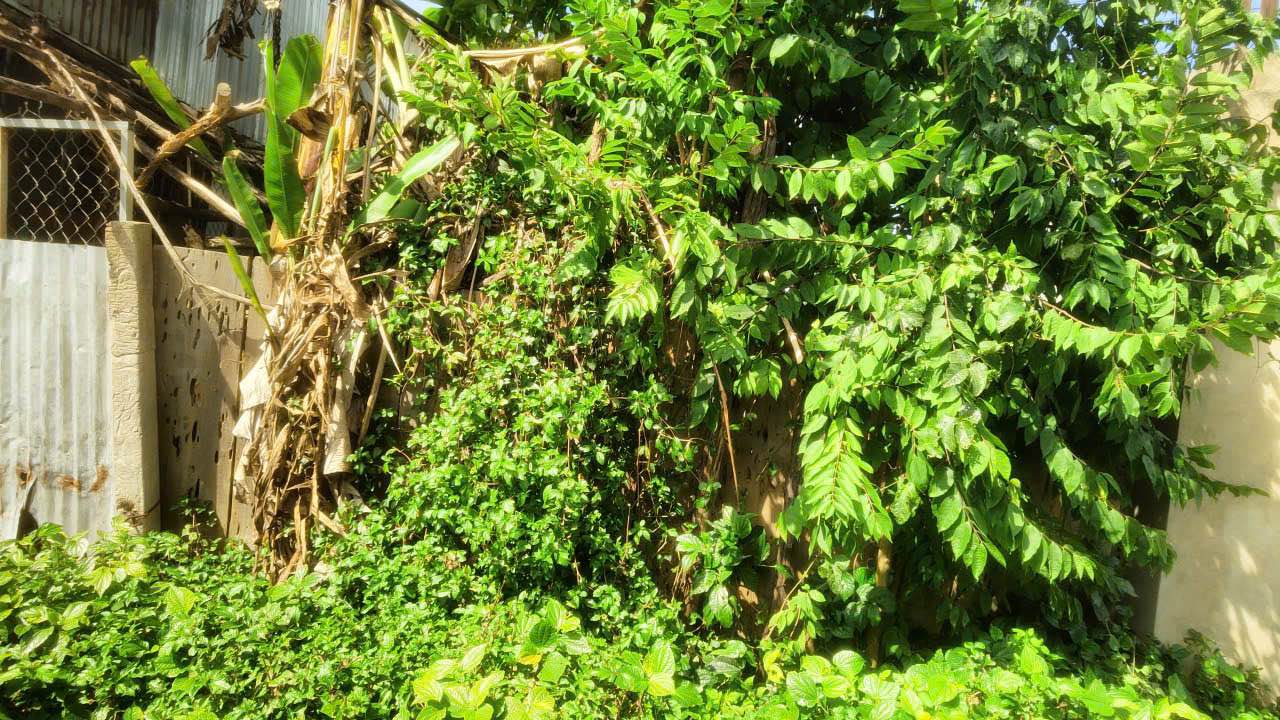 Đất nền phường Lê Lợi, TP Kon Tum 235m² - Giá chỉ 800 triệu, đầu tư sinh lời!