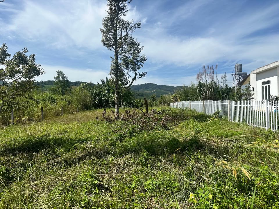 Đất nền đường Thi Sách, Bảo Lộc 556m² giá 1.9 tỷ - Cơ hội đầu tư tuyệt vời!