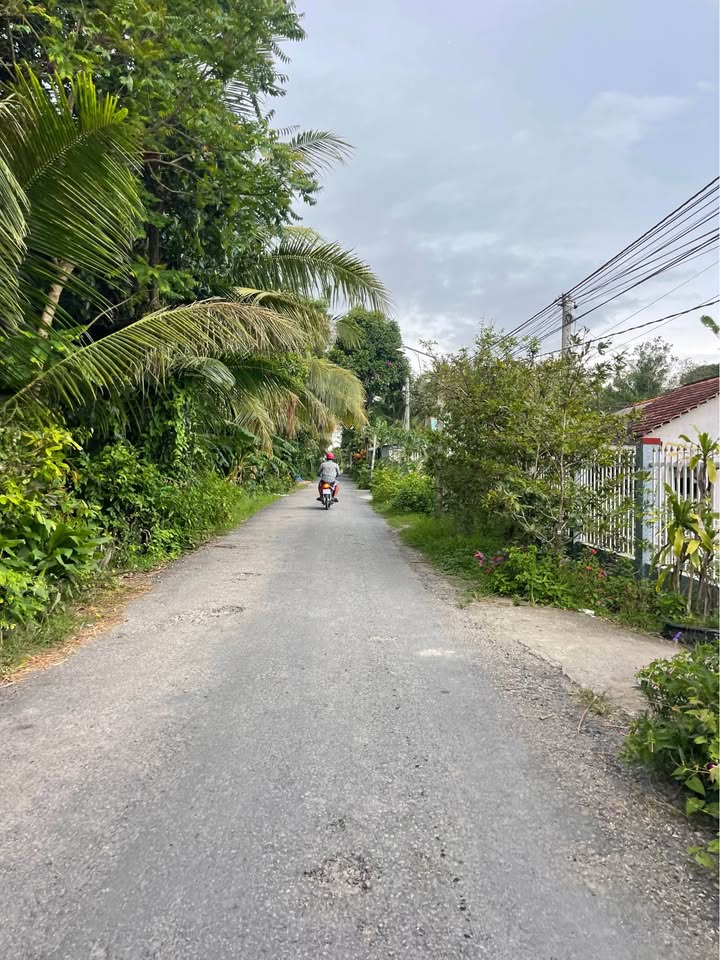 Đất nền mặt tiền kinh doanh xã Phú Quới, 600m² chỉ 3 tỷ - Đầu tư sinh lời ngay!