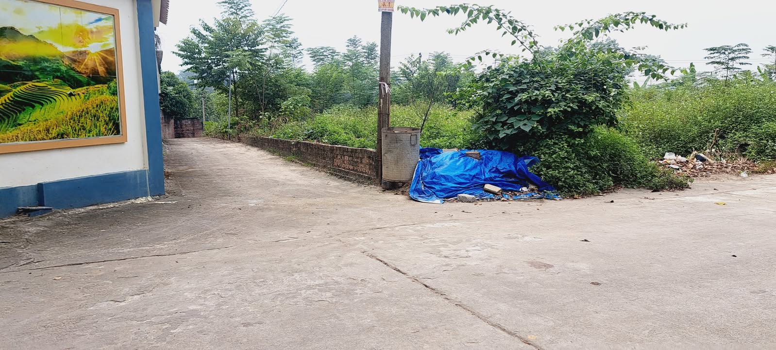 Đất Ba Trại Ba Vì 300m² giá 1.1 tỷ - Sổ hồng chính chủ, đầu tư sinh lời!