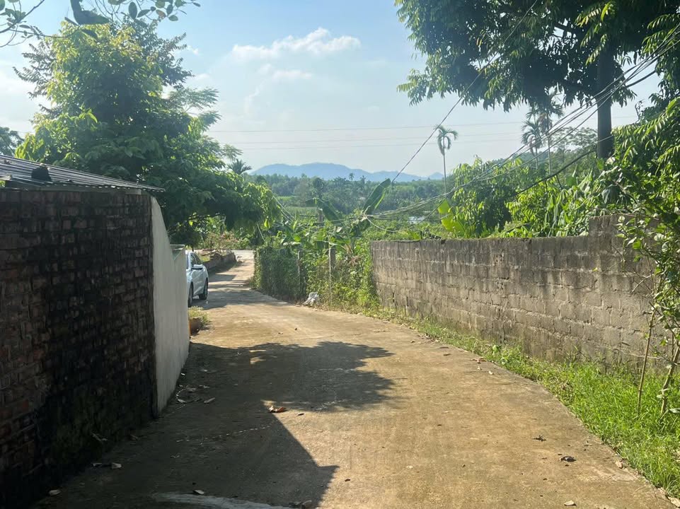 Đất nền thổ cư 50m² tại Xuân Áng, Hạ Hòa - Giá chỉ 500 triệu