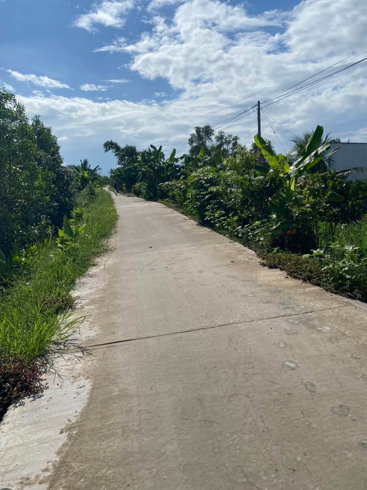 Đất nền Khánh Thuận, U Minh, Cà Mau 640m² giá 512 triệu - Sổ hồng chính chủ!