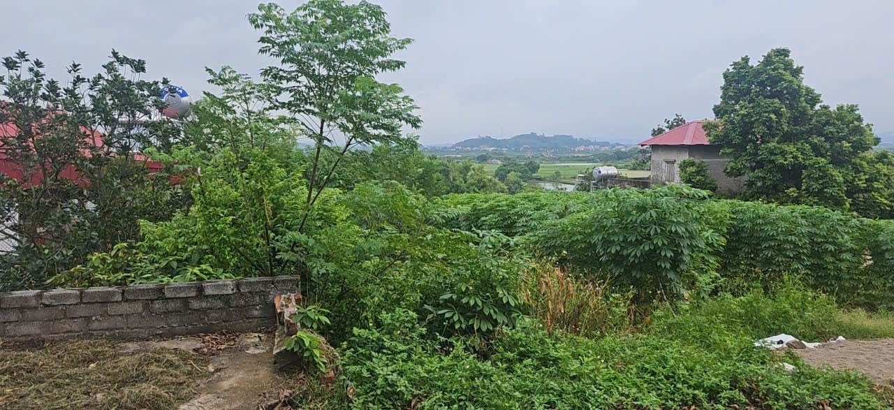 Đất Châu Phong, Quế Võ 110m² giá chỉ 999 triệu - Tiềm năng đầu tư vượt trội!