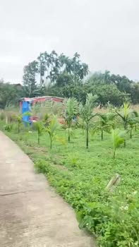 Đất nền 800m² Nghĩa Trung, Tư Nghĩa - Đường bê tông đẹp, giá tốt!