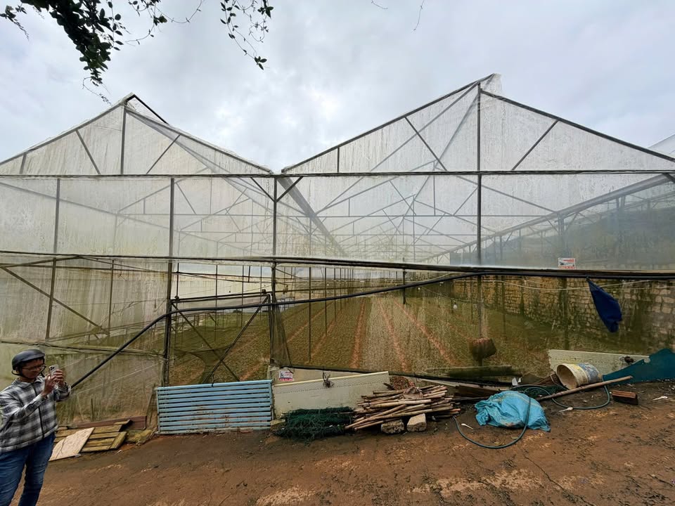 Đất thổ cư 305m² hẻm ô tô lớn đường Cao Thắng Đà Lạt - Giá chỉ 7 tỷ!