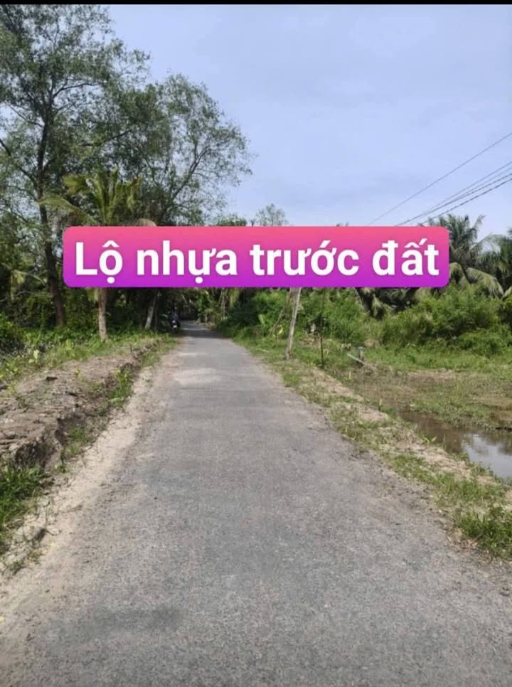 Đất thổ cư 560m² mặt tiền đường DH25 - Cơ hội đầu tư tuyệt vời!