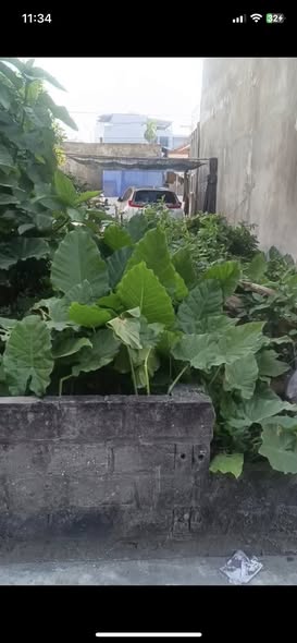 Lô đất An Đồng 50m² giá chỉ 1.7 tỷ - Tiềm năng đầu tư sinh lời!