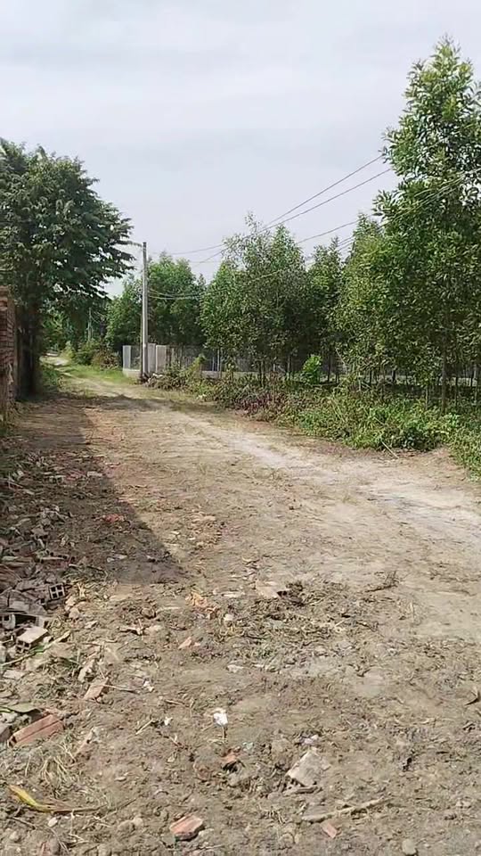 Đất vườn 1 sào xã Phước An, Nhơn Trạch, Đồng Nai giá 4.1 tỷ - Đầu tư sinh lời nhanh chóng!