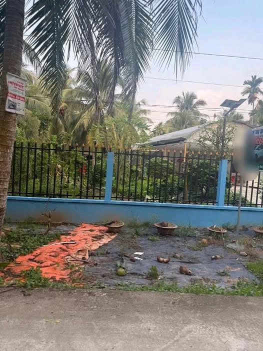 Đất vườn Phước Mỹ Trung 539m² giá 750 triệu - Cơ hội đầu tư lý tưởng!