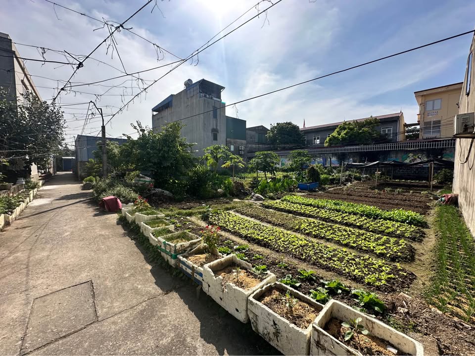 Lô đất Hồng Bàng Hải Phòng 78.7m² giá chỉ 2 tỷ - Vị trí thuận tiện cho đầu tư!