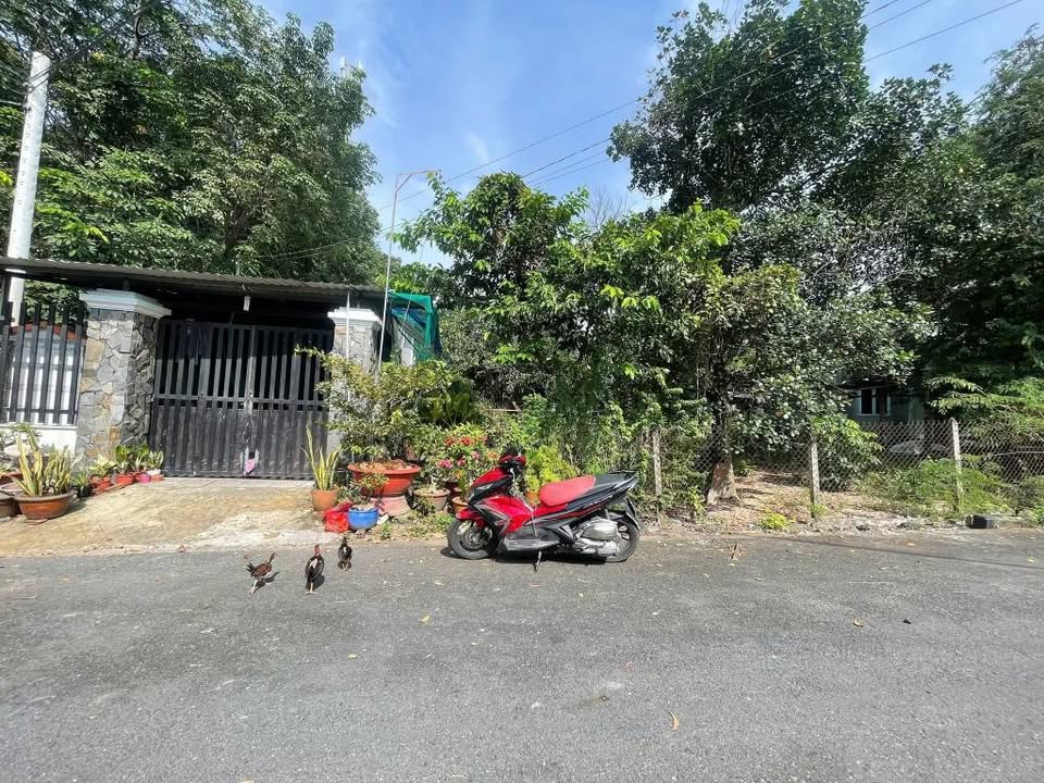 Đất nền Định Hòa 150m² giá 2.2 tỷ - Đường nhựa 6m, sổ đỏ chính chủ!