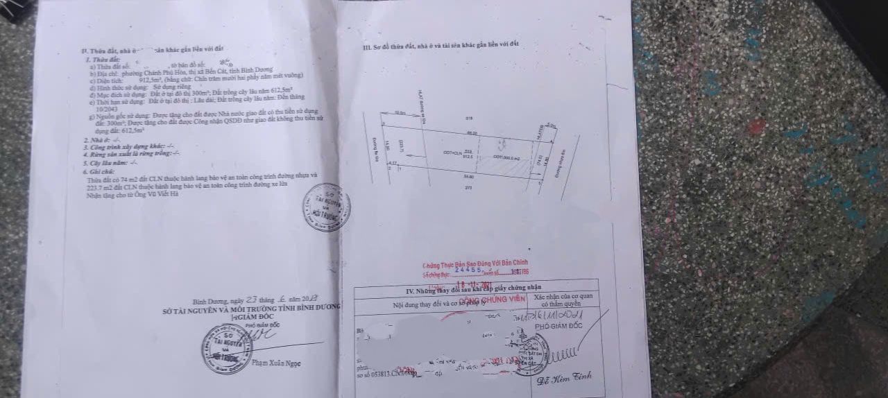 Đất nền Chánh Phú Hòa 1000m² giá 8.5 tỷ - Kinh doanh trường mầm non ngay!