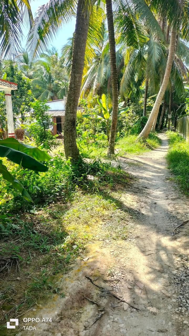 Đất nông nghiệp 3000m² xã Hòa Hiệp, Tam Bình - Giá chỉ 175 triệu, thương lượng nhẹ!