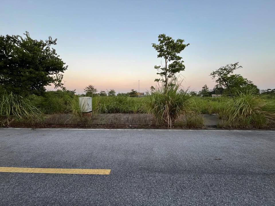 Đất đấu giá Đại Cương 100m² giá chỉ 3.3 tỷ - Cơ hội đầu tư hấp dẫn!