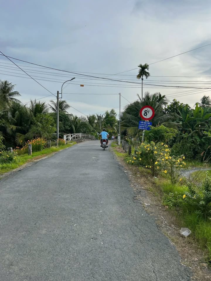 Đất nền Tân Long Hội 121m² giá chỉ 220 triệu - Cơ hội đầu tư tuyệt vời!