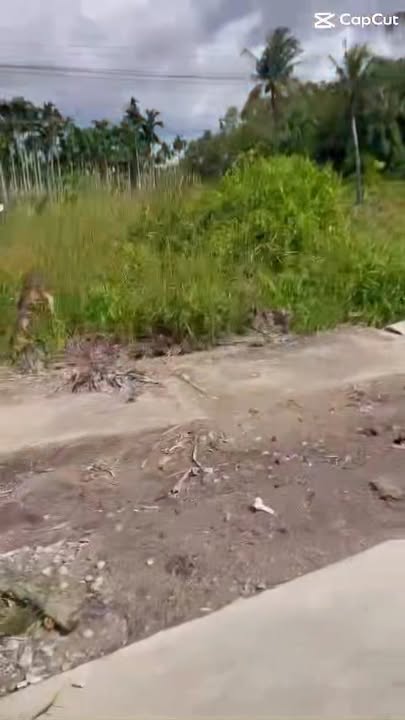 Đất nền Chắc Kha Minh Hoà 1000m² giá chỉ 520 triệu - Cơ hội đầu tư hấp dẫn!