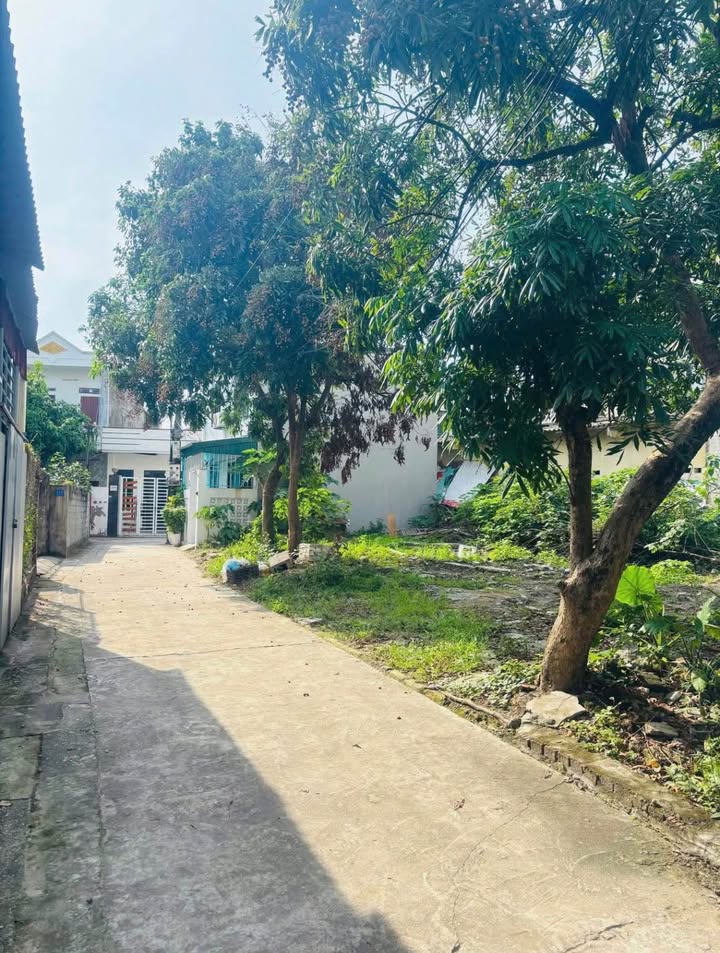 Đất nền Đinh Văn Tả, TP Hải Dương 46m² giá chỉ 1.1 tỷ - Cơ hội đầu tư tuyệt vời!