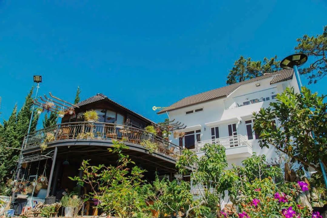 Bán Villa Mặt Tiền Đường Yên Thế, Đà Lạt 976m² - Giá Cực Tốt Chỉ 97 Tỷ!