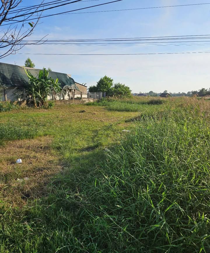 Đất nền xã Mỹ An, huyện Thạnh Phú 2000m² giá thỏa thuận - Cơ hội đầu tư sinh lời!