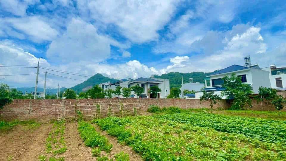 Đất nền 450m² tại Bình Hưng, Bình Chánh - Phù hợp kinh doanh và xây dựng biệt thự!