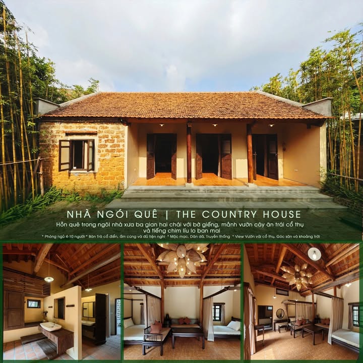 Đất Farm Minh Phú Sóc Sơn 6055m² - Khu nghỉ dưỡng sinh thái lý tưởng!