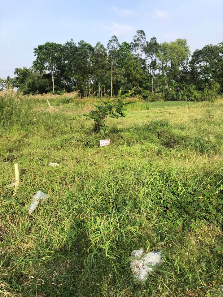 Đất nền khu dân cư Minh Lương, Châu Thành, Kiên Giang diện tích 97.5m² giá 900 triệu - Sổ hồng chính chủ, thổ cư 100%!