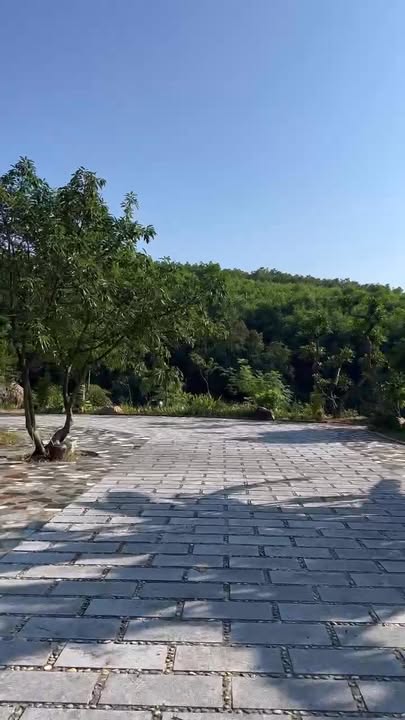 Nhà vườn Hoành Bồ Hạ Long 5426m² giá 20 tỷ - Cơ hội kinh doanh sinh thái hấp dẫn!