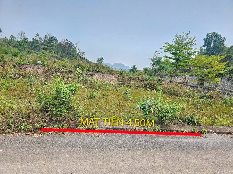 Đất thổ cư Tiến Xuân 186m² giá thỏa thuận - Cơ hội đầu tư hiếm có!