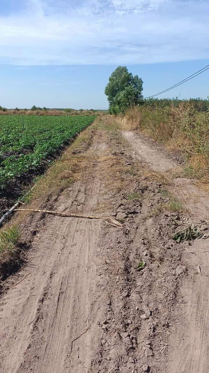 Đất nền Tân Phong, Tân Biên 3600m² giá chỉ 18 triệu/m² - Cơ hội đầu tư hấp dẫn!