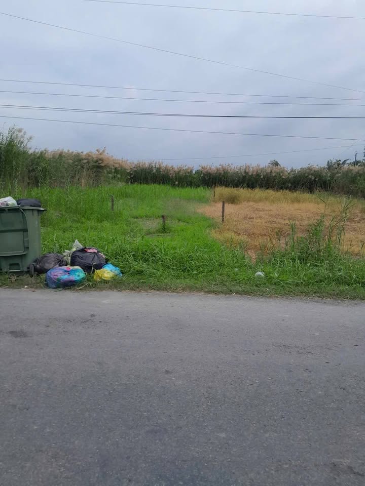 Đất nền mặt tiền đường Tỉnh 909, xã Long Hồ, diện tích 261m² - Đầu tư sinh lời ngay!