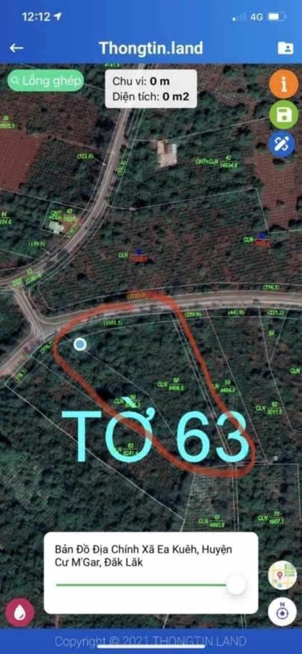 Đất nền xã Ea Kiết, huyện Cư M'gar 8000m² - Tiềm năng đầu tư lớn!