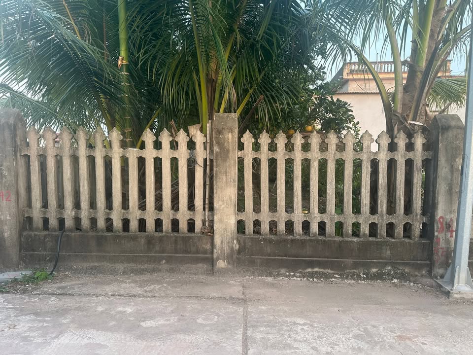 Đất nền đẹp tại xóm Cường Tiến, xã Nghĩa Lâm, 216m² chỉ 600 triệu - Cơ hội vàng cho nhà đầu tư!