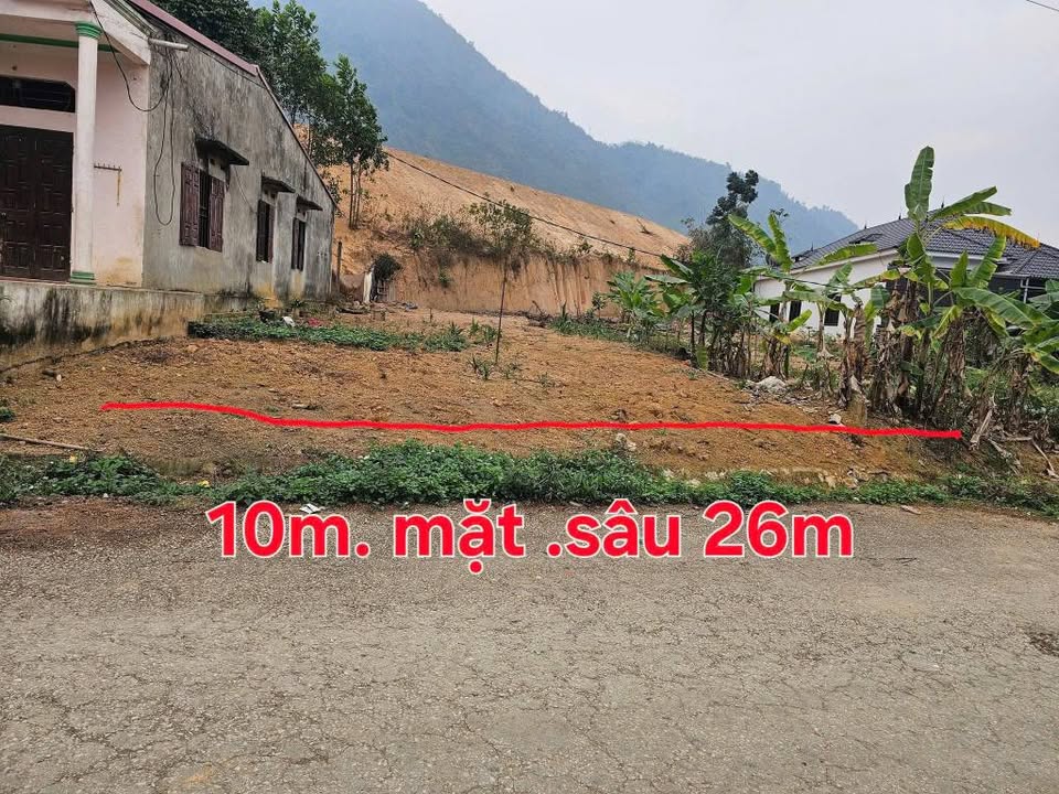 Đất thổ cư 260m² khu 2A, Tân Phú, Phú Thọ - Giá đầu tư chỉ vài trăm triệu!