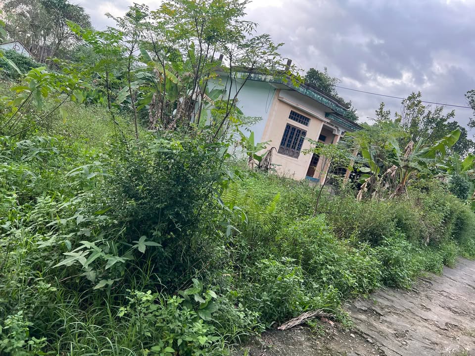 Nhà bán tại Triệu Thành, Triệu Phong 264m² - Sẵn sàng vào ở ngay!