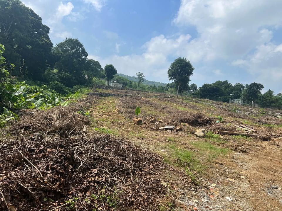 Đất nghỉ dưỡng Cư Yên Lương Sơn 4200m² - Vị trí đắc địa cho đầu tư