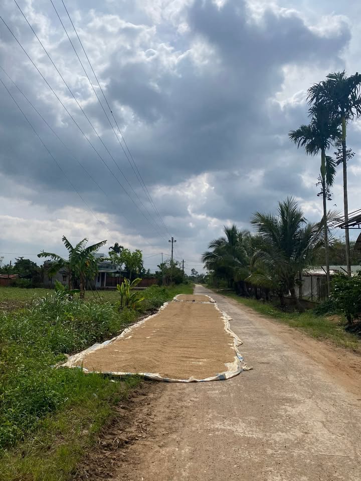 Đất Vụ Bổn, Krông Pắc 60m² giá 310 triệu - Đầu tư lý tưởng!