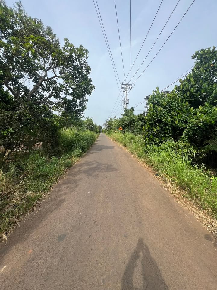 Đất nền Xuân Bảo 1000m² giá 120 triệu - Đường nhựa thuận lợi, đầu tư lý tưởng!