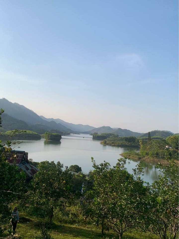 Đất Viu Hồ Núi Cốc 30.000m² - Cơ hội đầu tư sinh lời hiếm có!