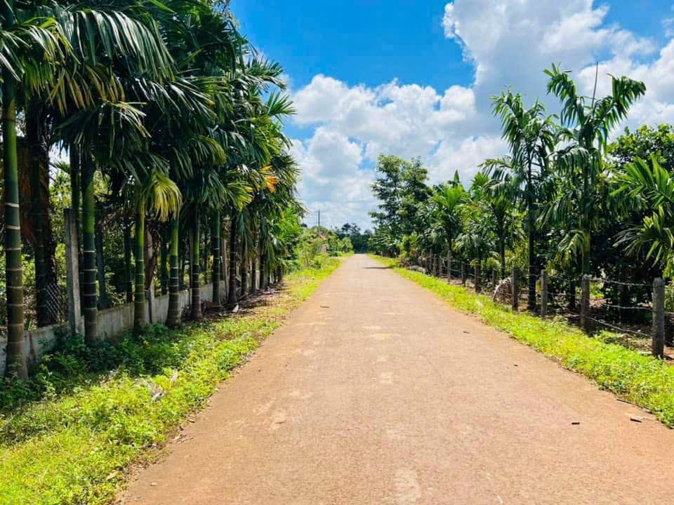 Đất nền Hòa Đông, Krông Pắc 135m² giá 595 triệu - Cơ hội đầu tư sinh lời cao!