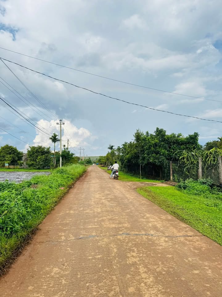 Đất thổ cư đường Nguyễn Tất Thành, xã Phú Lộc, 162m² giá 145.8 triệu - Đầu tư lý tưởng!