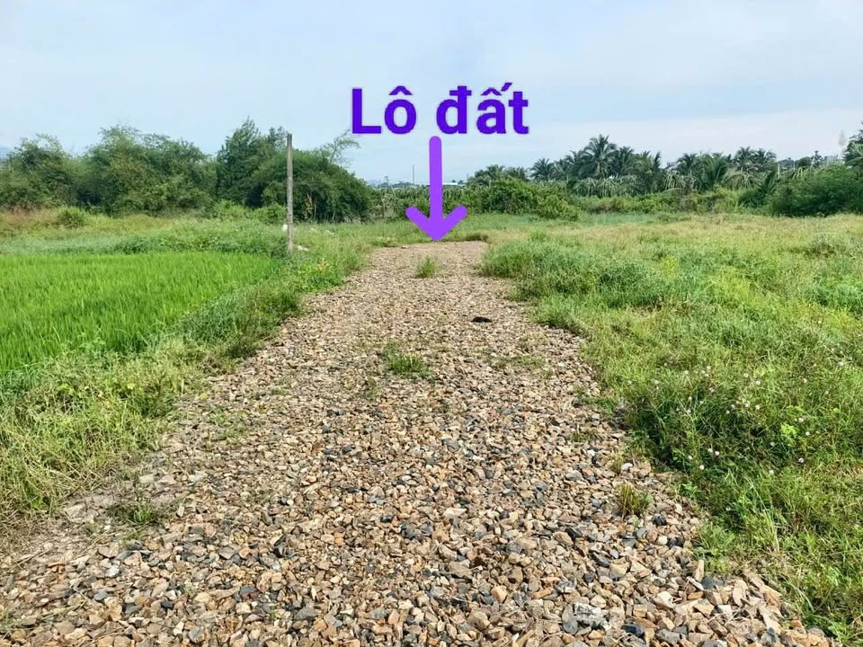 Đất CLN 552m² Thôn 3 Hàm Liêm giá 400 triệu - Đường ô tô vào tận nơi!