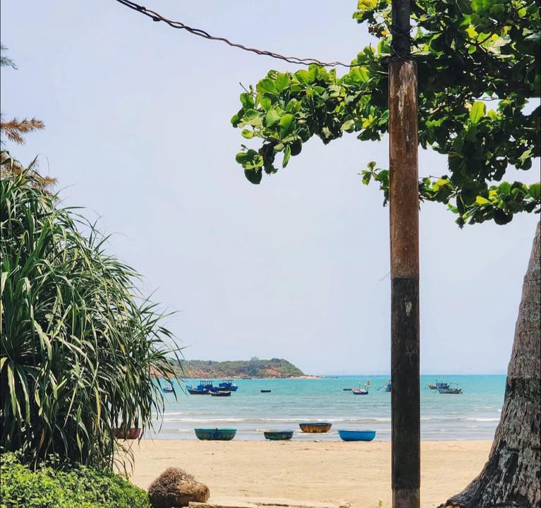 Đất nền Duy Hải, Hội An 225m² giá thỏa thuận - Khu vực ven biển tiềm năng!