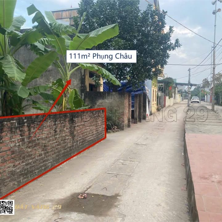 Đất thổ cư Phụng Châu, Chương Mỹ, Hà Nội 111m² - Lô góc 2 mặt tiền cực hiếm!