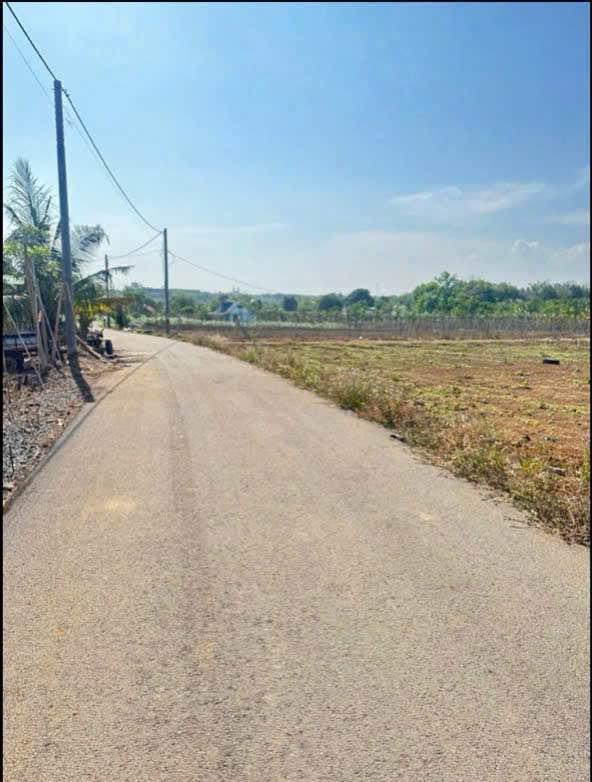 Đất nền 1.200m² mặt tiền đường nhựa tại Suối Rao Châu Đức - Sổ hồng riêng, giá tốt!