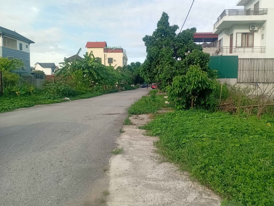 Đất mặt đường Tuệ Tĩnh, phường Ninh Tiến, 95m² giá 6 tỷ - Cơ hội đầu tư tuyệt vời!