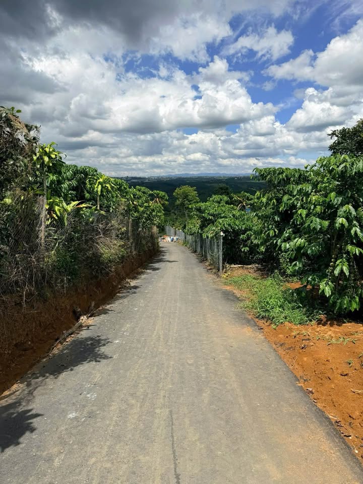 Đất vườn Tân Lạc Bảo Lâm 2600m² giá 1.38 tỷ - Tiềm năng thu lợi cao!